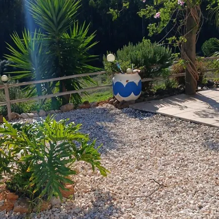 Quinta Da Varzea Grande - 펜션 *