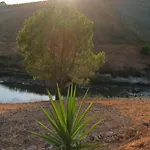 Quinta Da Varzea Grande - פורטימאו