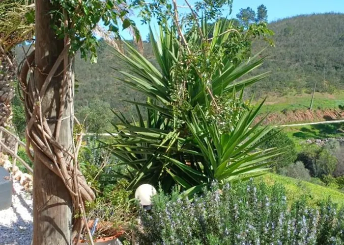 Casa de Férias Quinta Da Várzea Grande -