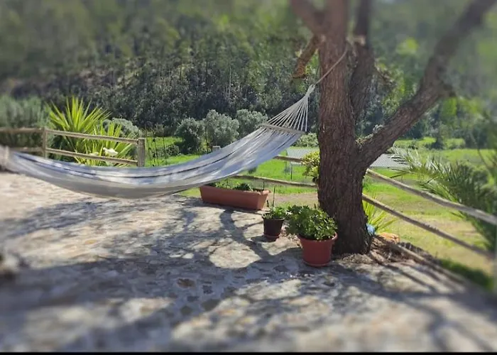 Quinta Da Várzea Grande - *